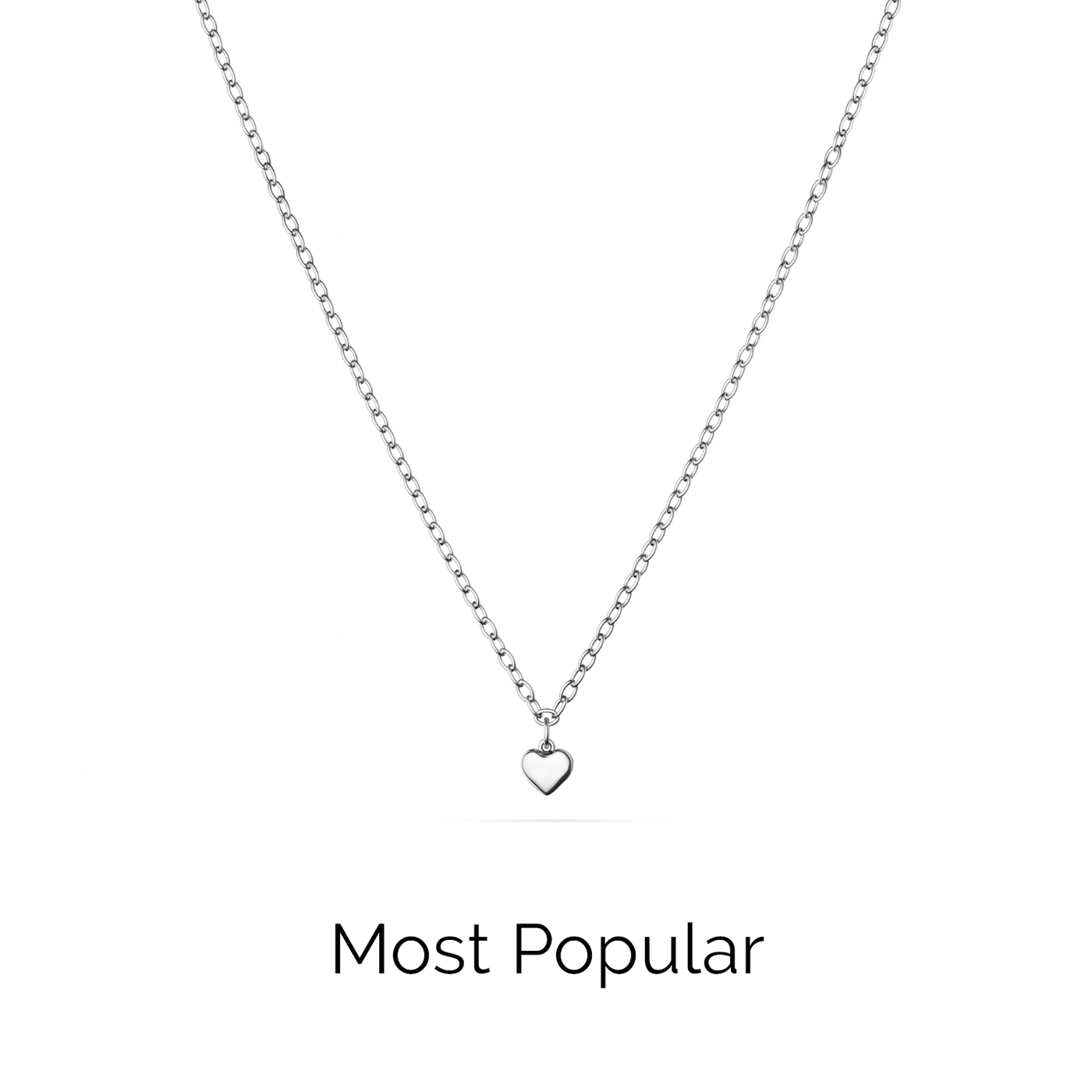 Fine Single Charm Necklace (Silver)