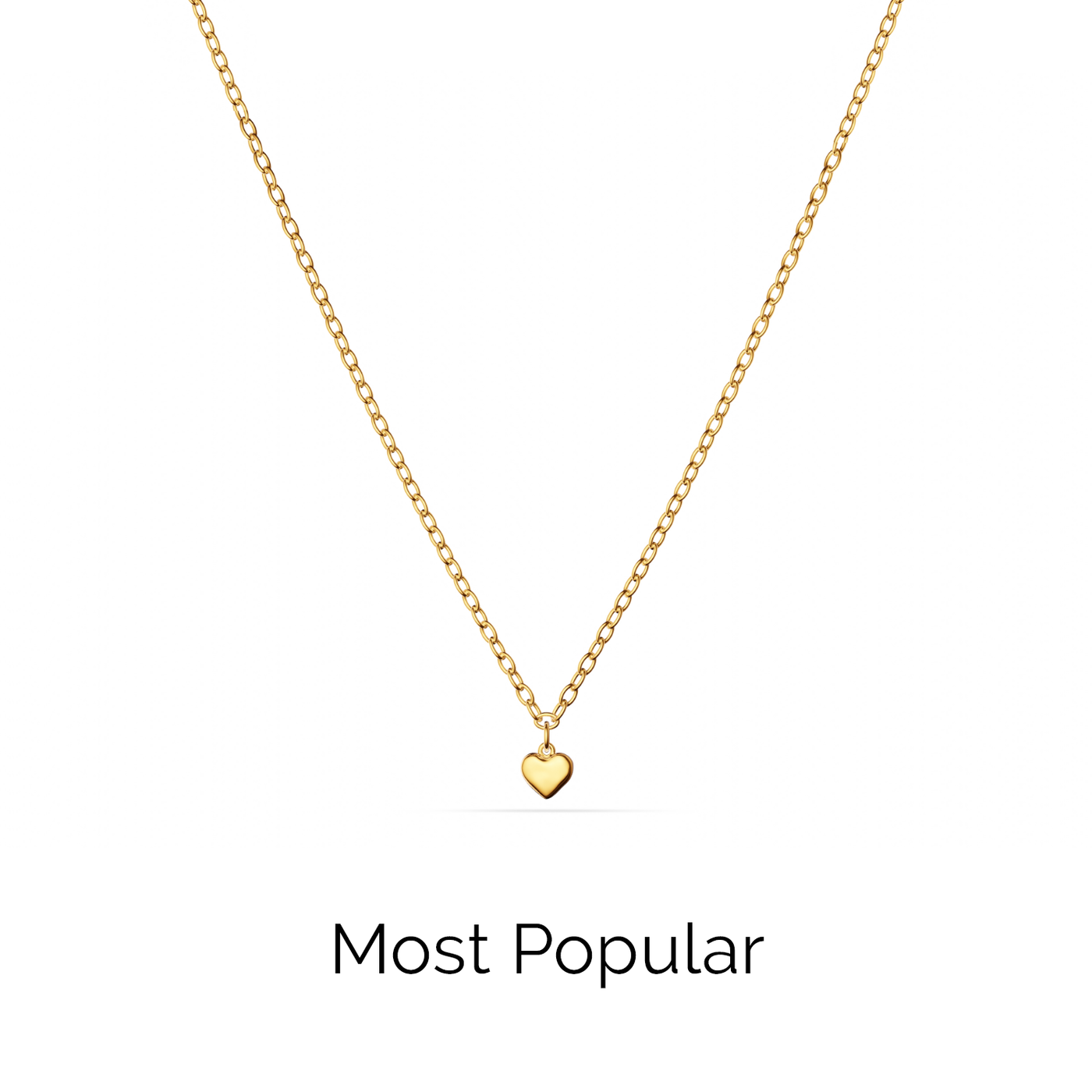 Fine Single Charm Necklace (Gold)
