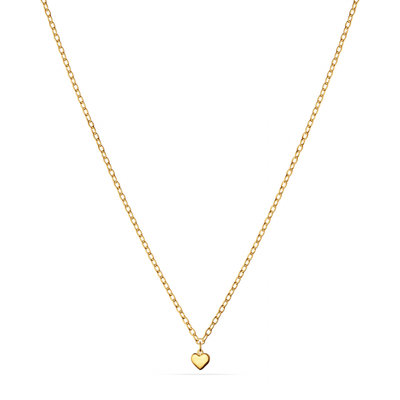 Fine Single Charm Necklace (Gold)