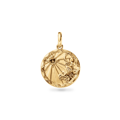 Custom Zodiac Coin Necklace (Gold)