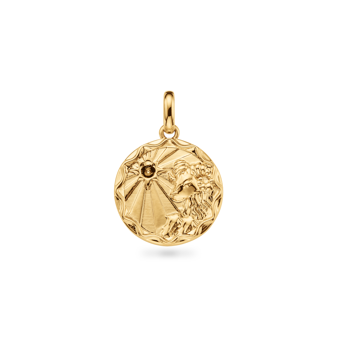 Custom Zodiac Coin Necklace (Gold)
