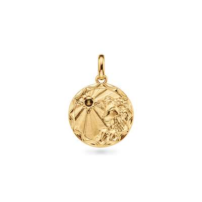 Custom Zodiac Coin Necklace (Gold)