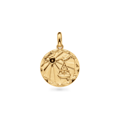 Custom Zodiac Coin Necklace (Gold)