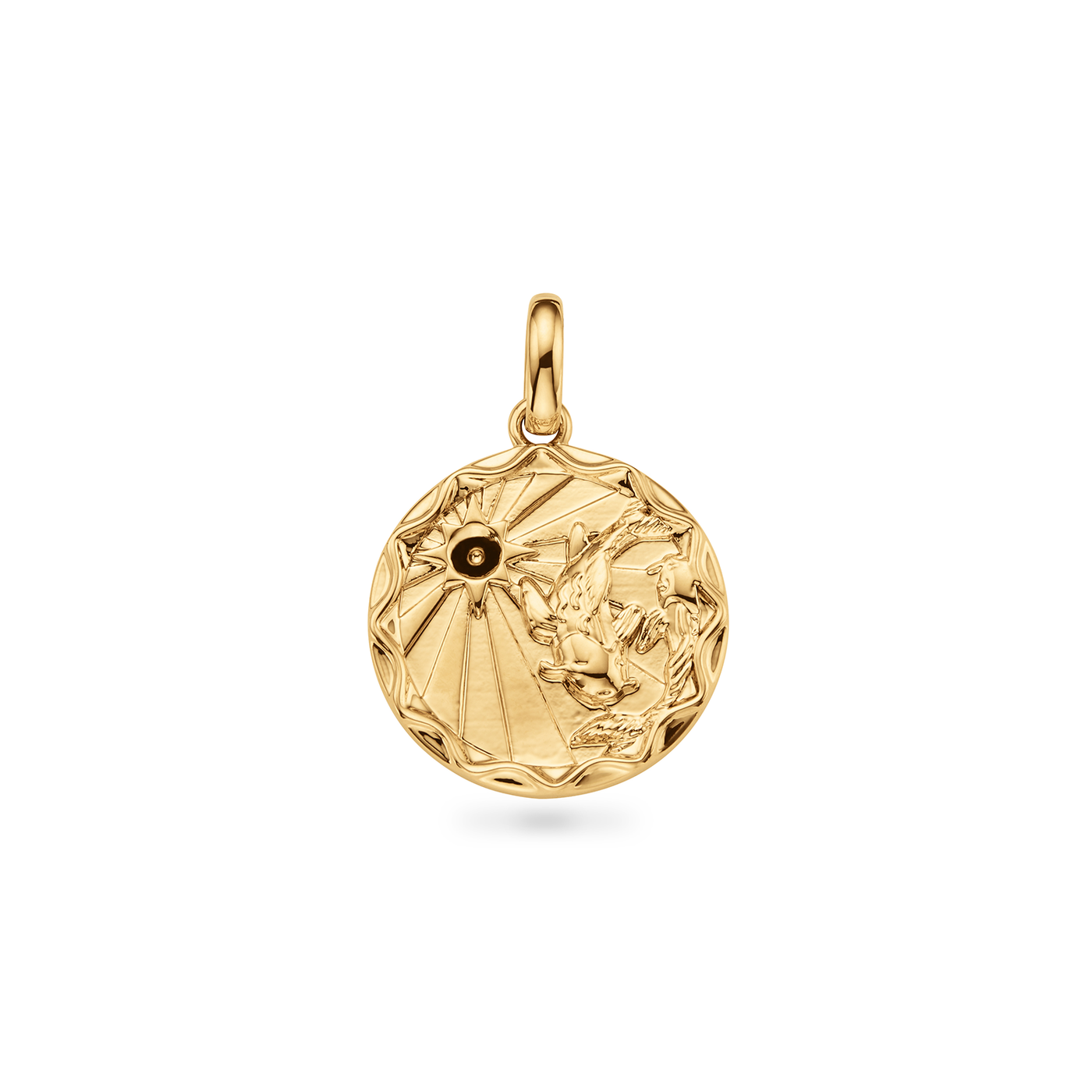 Custom Zodiac Coin Necklace (Gold)