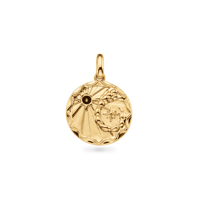 Custom Zodiac Coin Necklace (Gold)