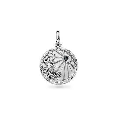 Custom Zodiac Coin Necklace (Silver)
