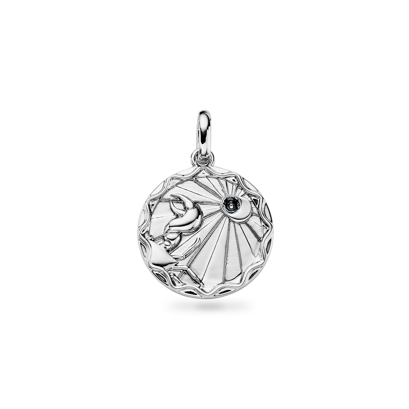 Custom Zodiac Coin Necklace (Silver)