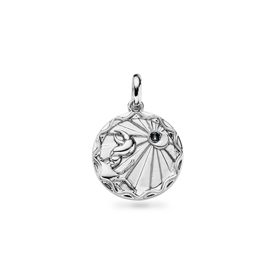Custom Zodiac Coin Necklace (Silver)