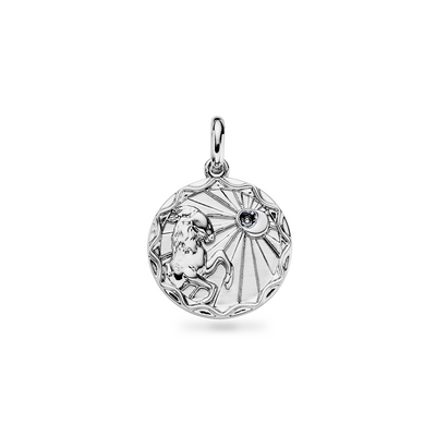 Custom Zodiac Coin Necklace (Silver)