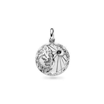 Custom Zodiac Coin Necklace (Silver)