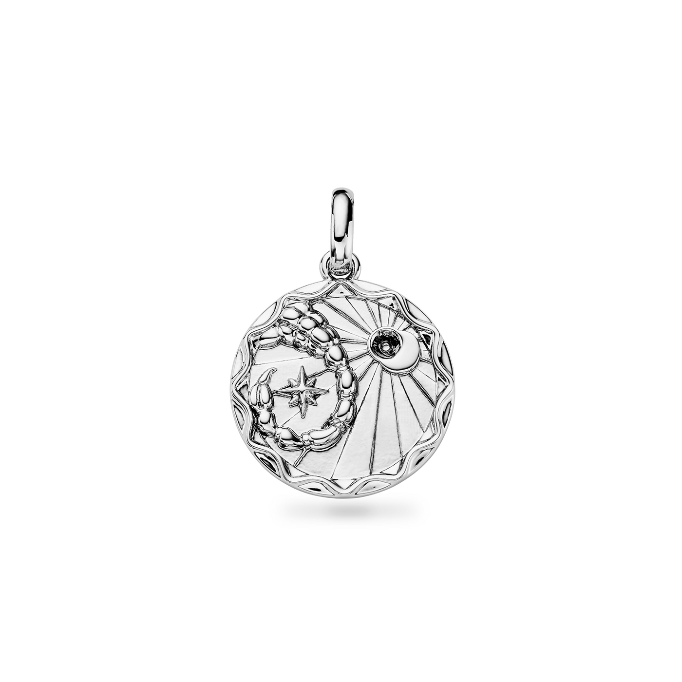 Custom Zodiac Coin Necklace (Silver)