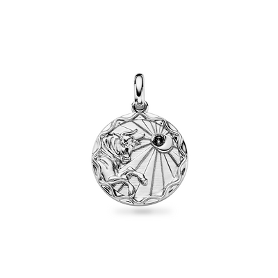 Custom Zodiac Coin Necklace (Silver)